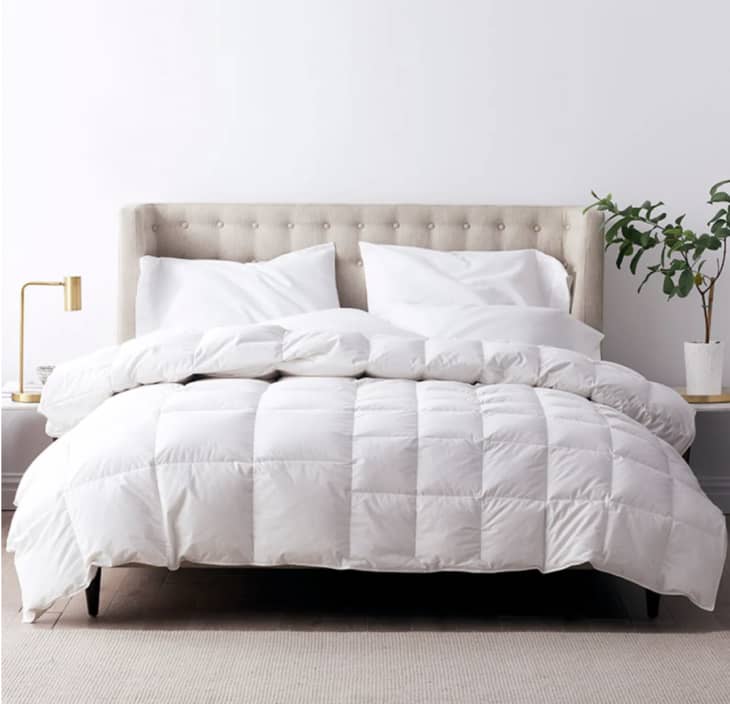 Hot and new arrivals cold comforter